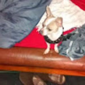 Meet your Posher, Heather